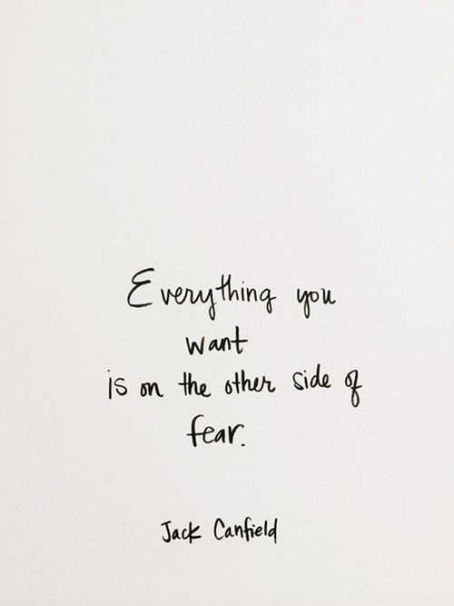 everything you want is on the other side of fear