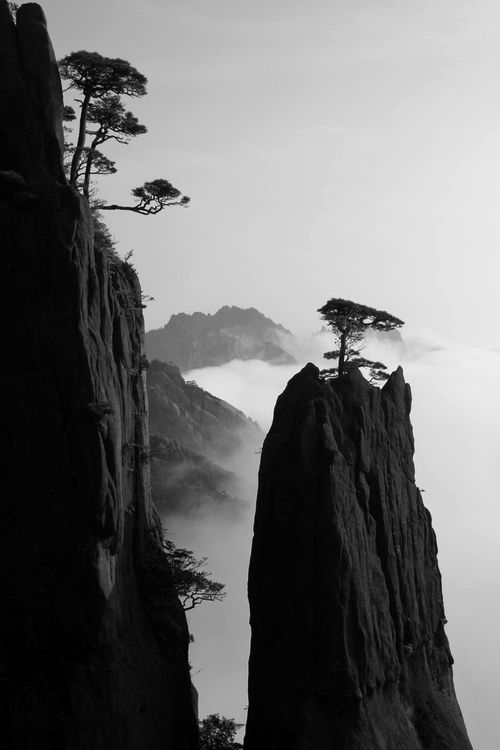 09ff2c42354cd58d368e7602490ccc86