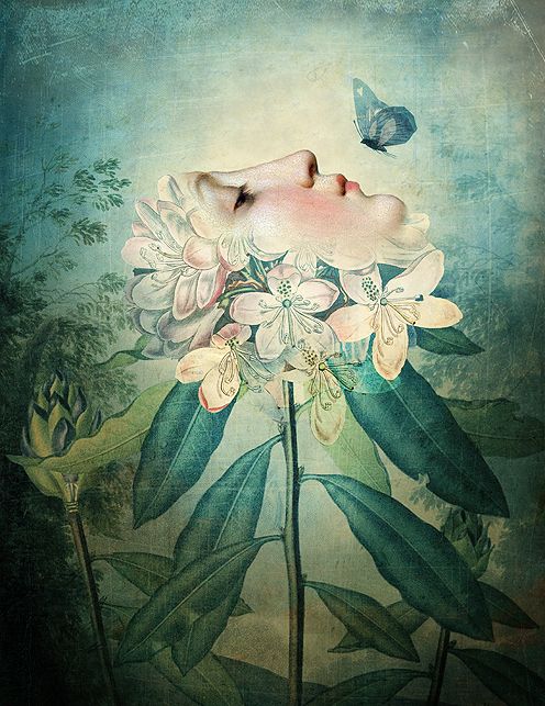 a5125ae931eefe238c9fc67e2eec1b46