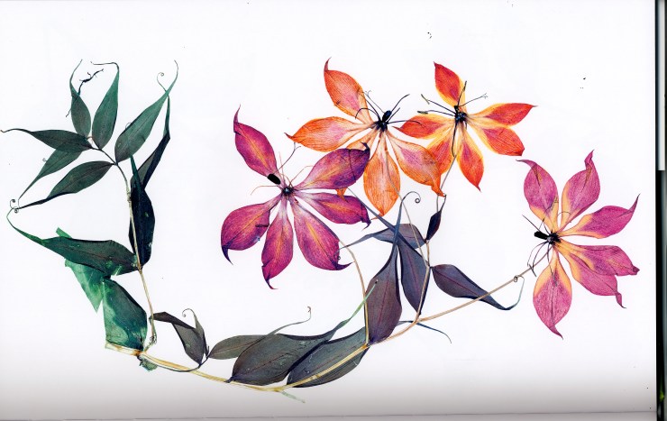 stängel_rote blüten.jpg