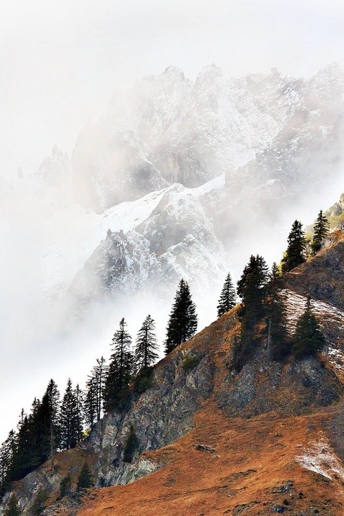 tumblr_mh34hzzQDG1rkanvao1_500