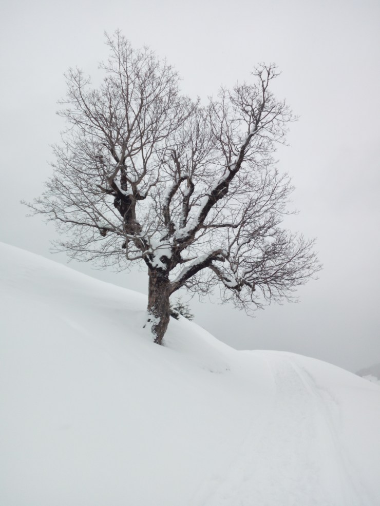 IMG_20180212_144935 Kopie.jpg