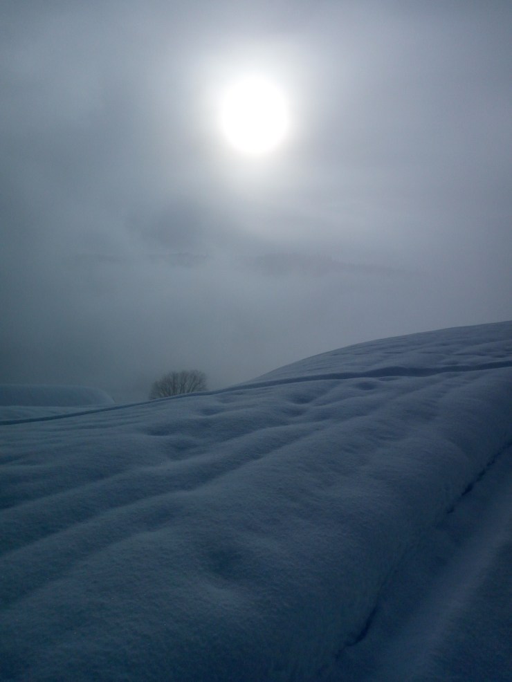 IMG_20180217_094622 Kopie.jpg