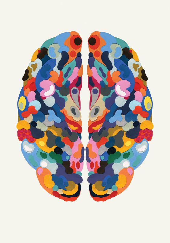 gehirn bunt.jpg